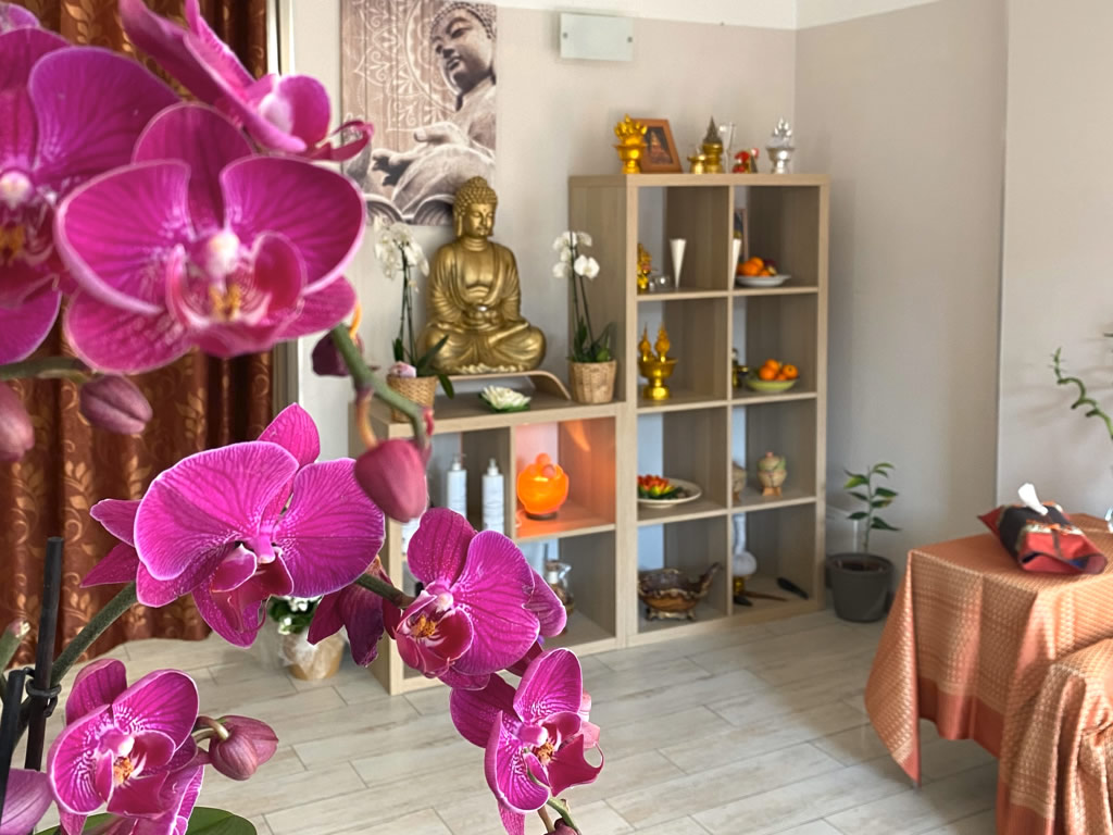 Centro massaggi thai ponte san pietro
